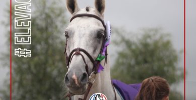 Upsilon, 4ème meilleur père WBFSH en 2025