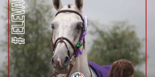 Upsilon, 4ème meilleur père WBFSH en 2025